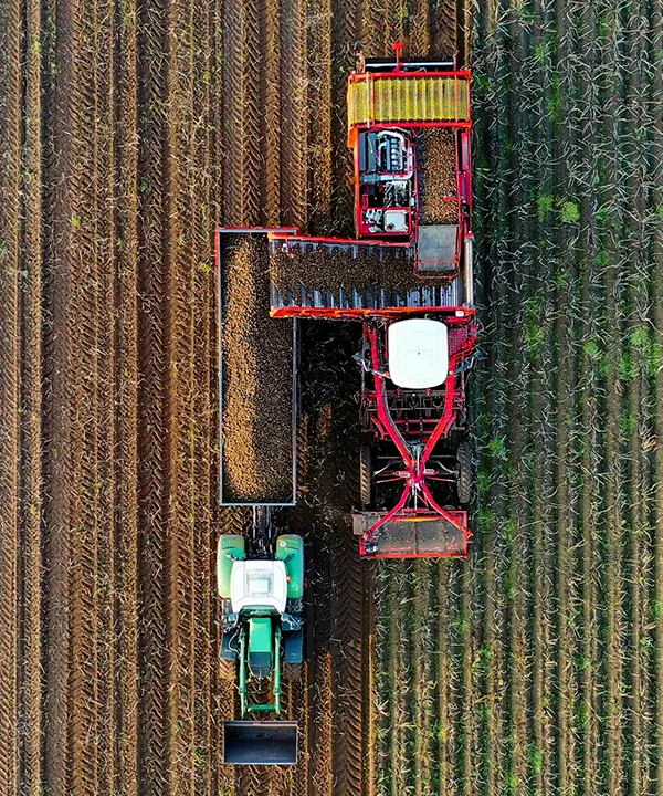 Agri-food tech strategy