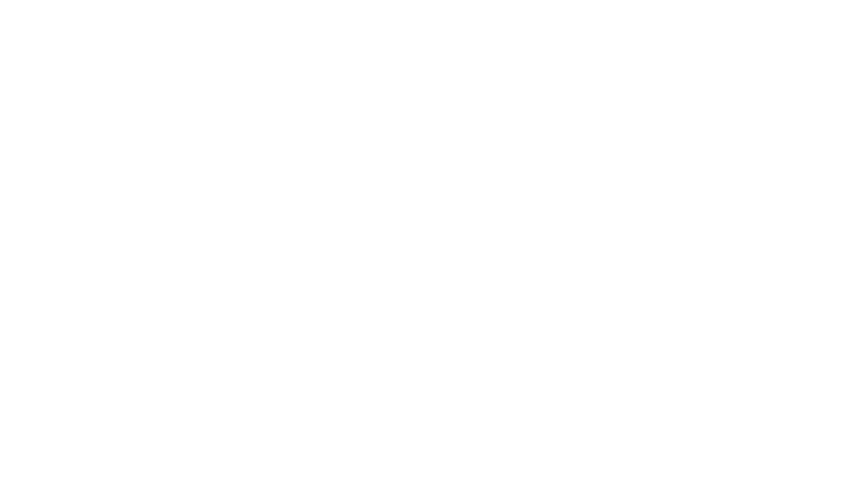 IriusRisk