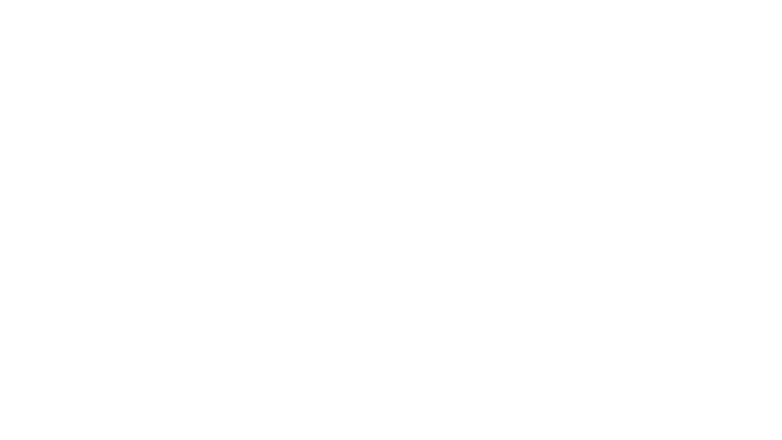 Pulpo